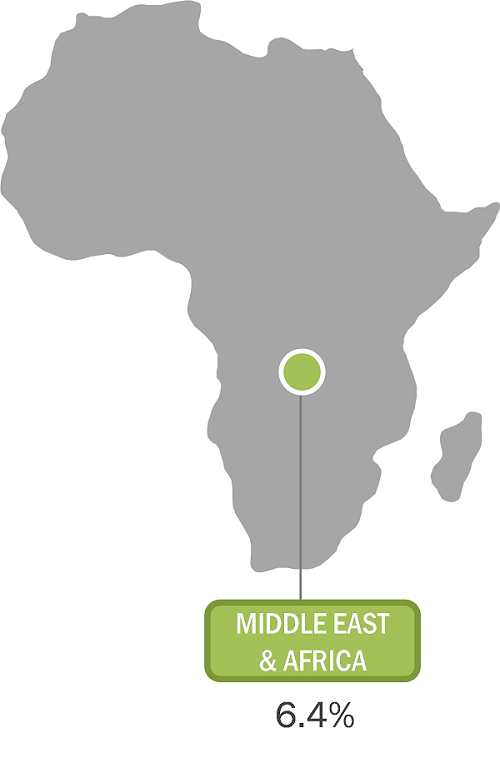 Middle East and Africa Flooring Market