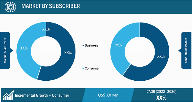 Mobile Virtual Network Operator (MVNO) Market Segmental Analysis: