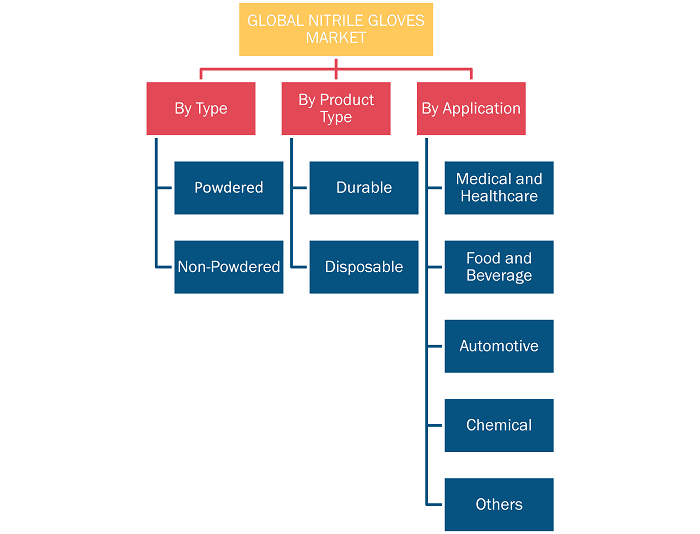 Report Segmentation and Scope: