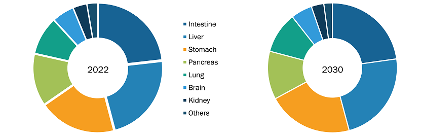 Organoids Market, by Organ Type – 2022 and 2030