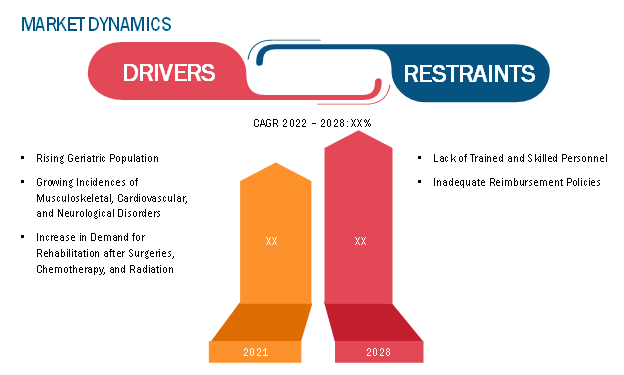 Physiotherapy Equipment Market Report