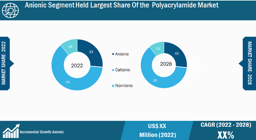 Marché du polyacrylamide, par application - 2022 et 2028