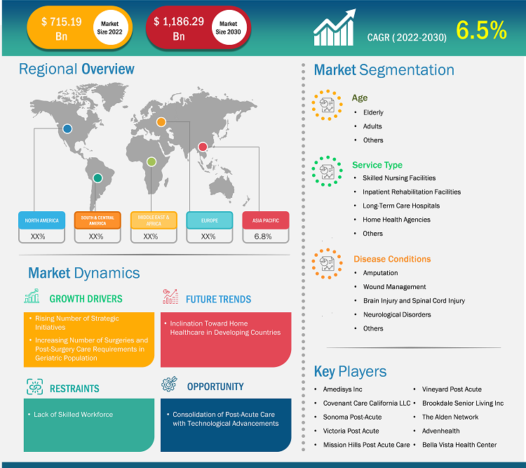 post-acute-care-market