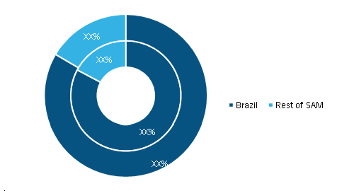 SAM Air Management System Market, By Country, 2020 and 2028 (%)