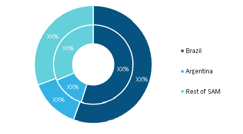 SAM Lubricants Market, By Country, 2020 and 2028 (%)