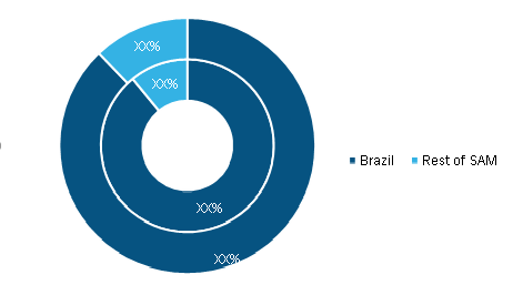 SAM Oxy Fuel Combustion Technology Market, By Country, 2020 and 2028 (%)