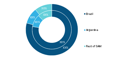 South America Vacuum Insulated Pipe Market , By Country, 2021 and 2028 (%)