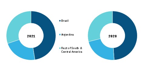 South and Central America Eyelashes Enhancing Agents Market Revenue and Forecast to 2028 (US$ Mn)