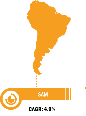 South & Central America Hot Melt Adhesives Market Analysis