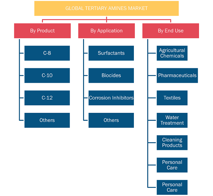 Report Segmentation and Scope: