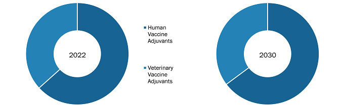 Vaccine Adjuvant Market, by Type – 2022 and 2030
