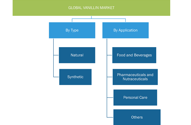 Report Segmentation and Scope: