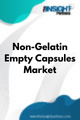 Non-Gelatin Empty Capsules  Market