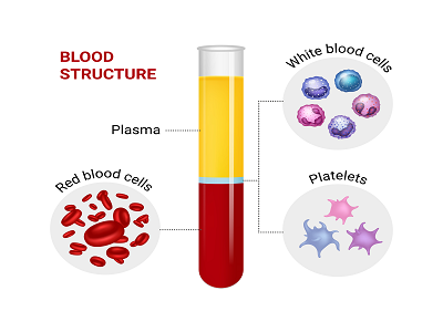 Blood Plasma Derivatives Market Trends & Innovations You Should Know