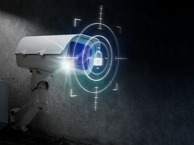 Electronic Article Surveillance (EAS) Systems Market: Emerging Trends & Insights