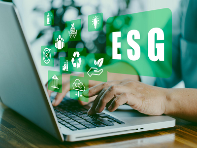 Investor ESG Software Industry: Competitive Landscape and Strategies