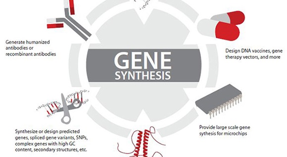 gene synthesis market