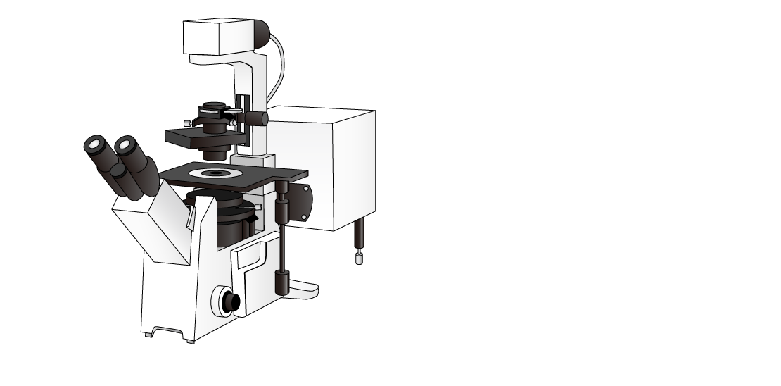 Confocal Microscopes Market