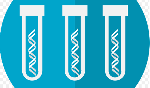 prenatal and newborn genetic testing market