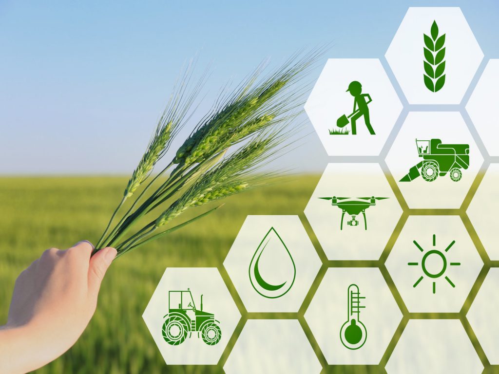 Agritech Market Trends to Watch in 2021 and Beyond - The Insight Partners