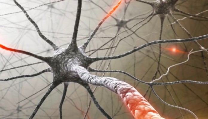 Multiple Sclerosis Therapeutics Market