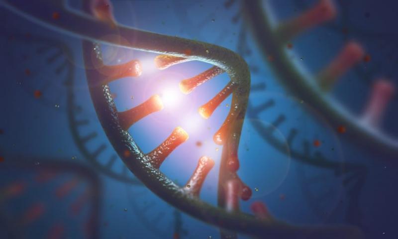 miRNA Sequencing and Assay