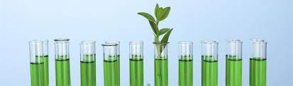 Renewable Chemicals Market