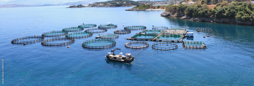 Aquaculture Market