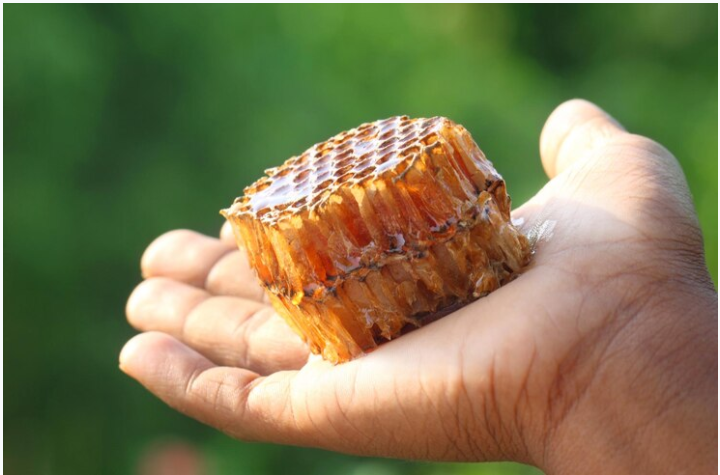 Dried Honey Market