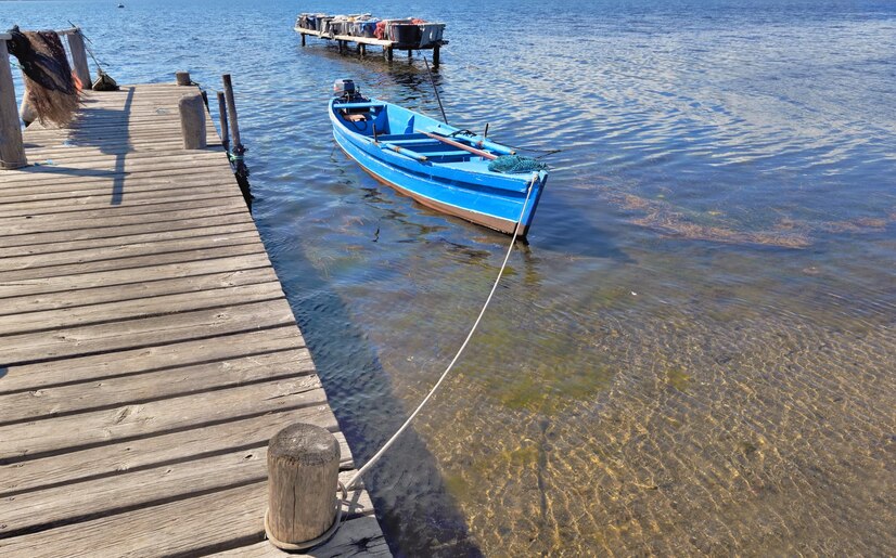 Pontoon Boat Market