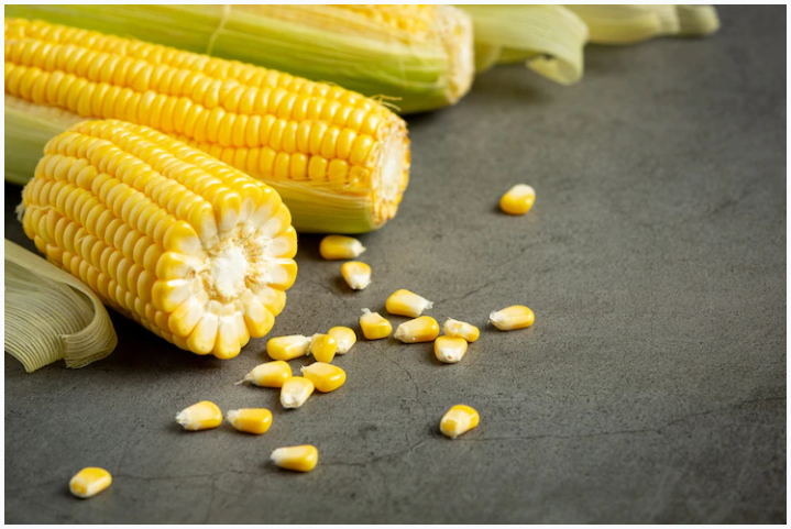 Precooked Corn Flour Market