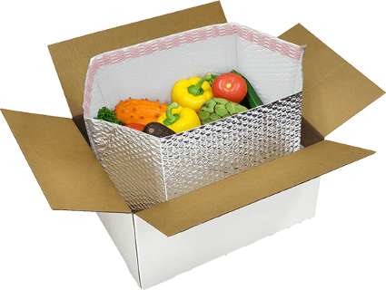 North America temperature controlled packaging market