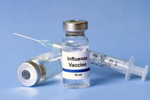 Influenza Vaccines Market