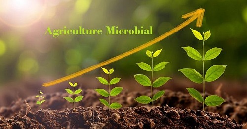 Agriculture Microbial Market