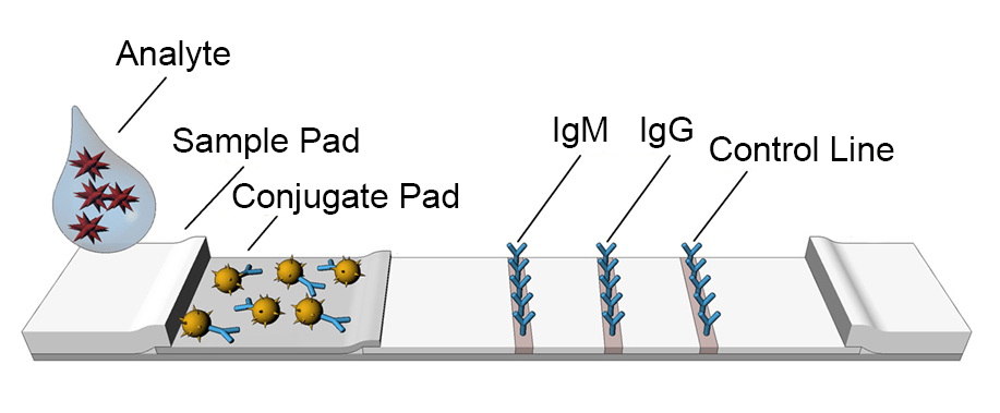 Lateral Flow Assay Market