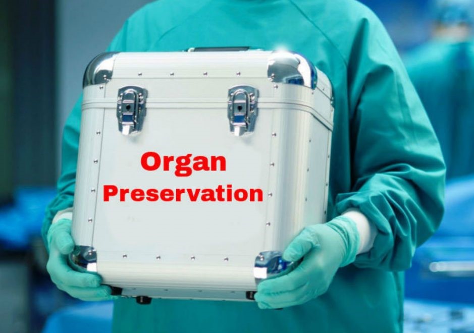 Organ Preservation Solution Market