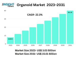 Organoid Market
